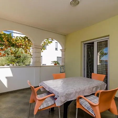 Palma * 트로기르