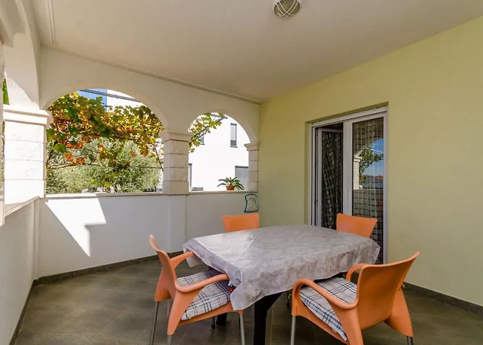 Palma * 트로기르