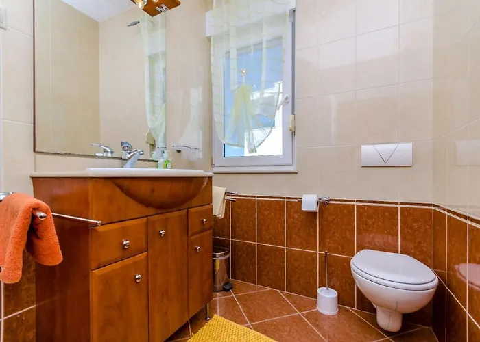 Palma * 트로기르